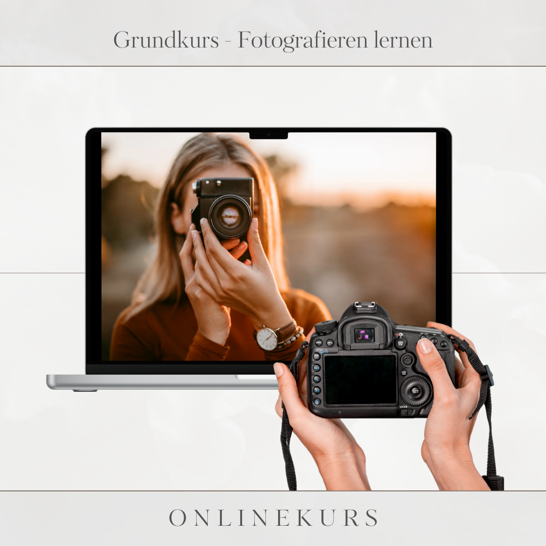 Videokurs - Fotografieren lernen